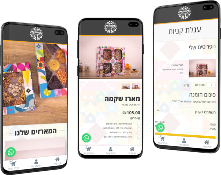 הקמת חנות באינטרנט