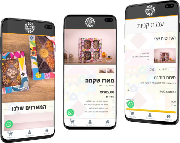 הקמת חנות באינטרנט