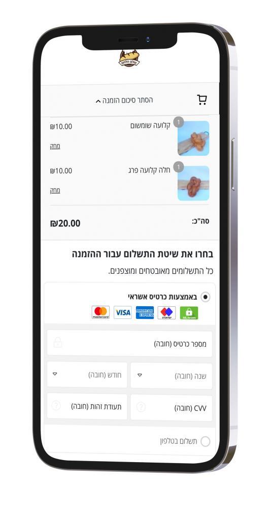 תשלום בדף ה-Checkout